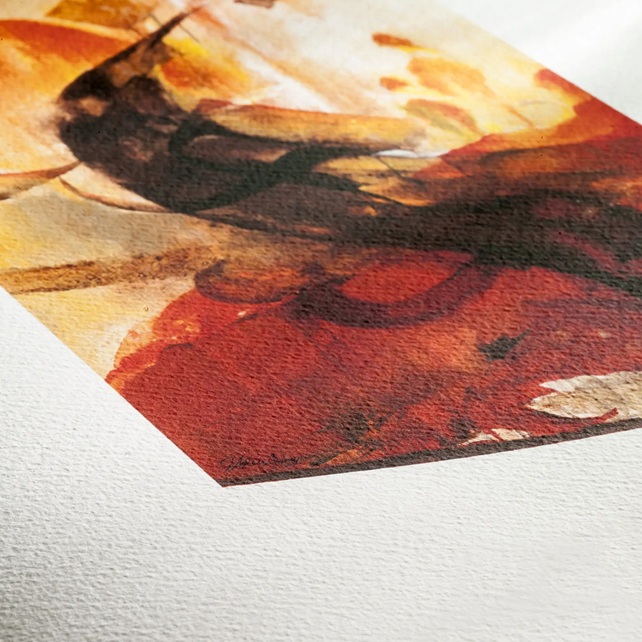 Texture Albrecht Dürer